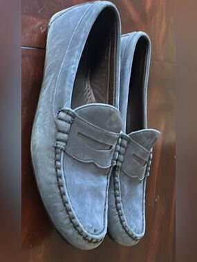 Allen Edmonds blue Suede Penny Loafers. (Shoe26-2)